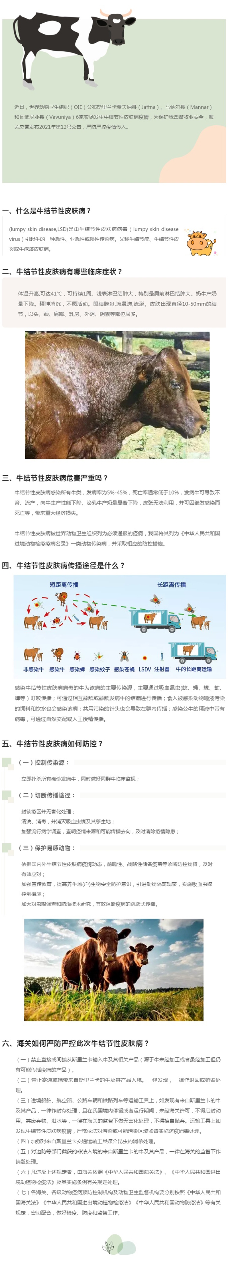 政策解读牛结节性皮肤病