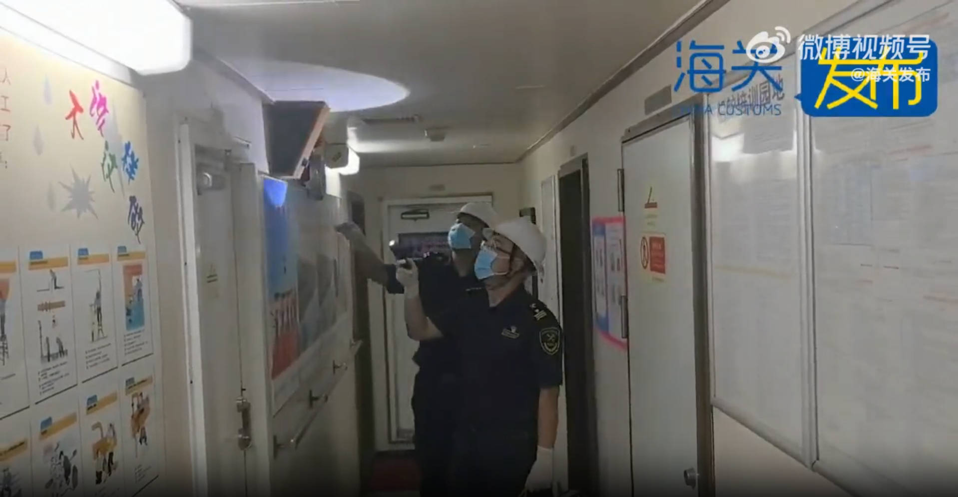 【津关发布】天津口岸首次截获病媒生物长条溜蝇